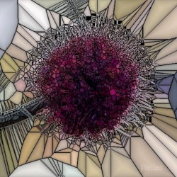 Stained Glass Bloom